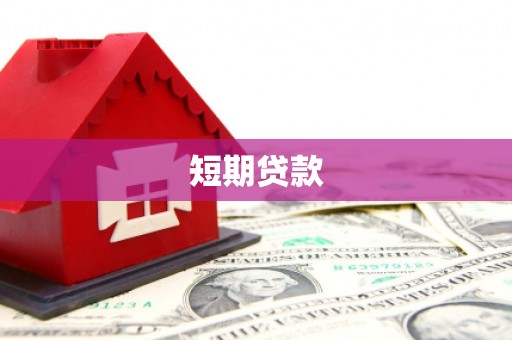 平远短期贷款
