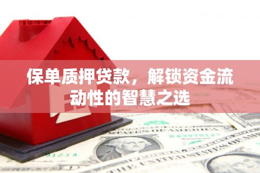 平远保单质押贷款，解锁资金流动性的智慧之选