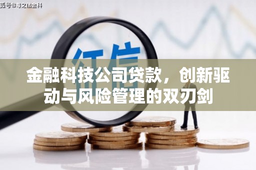 平远金融科技公司贷款，创新驱动与风险管理的双刃剑