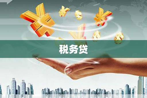 平远税务贷